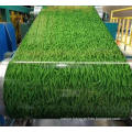 Factory Dircetly Supply  Grass print color steel COIL Dx51D Z275 zinc   / galvanized rolls  / hot rolled steel sheet